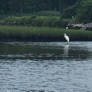 I love counter offers!